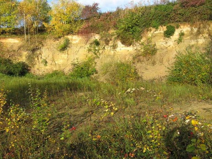 img-98387-563, Förderverein unterstützt Naturschutzprojekt.jpg
